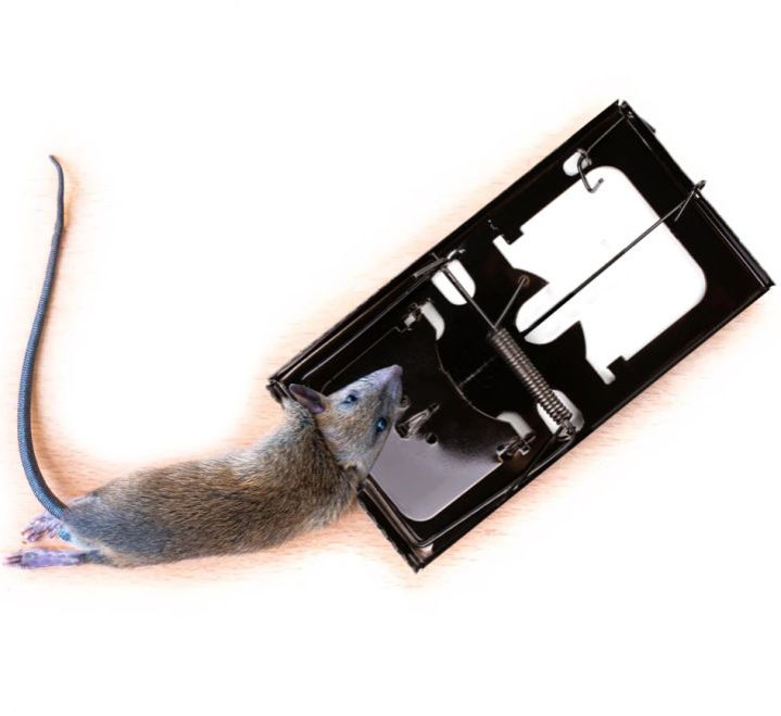 Reusable Metal Rodent Mouse Rat Trap Killer-2 Pcs - BLACK OR SILVER GRAY