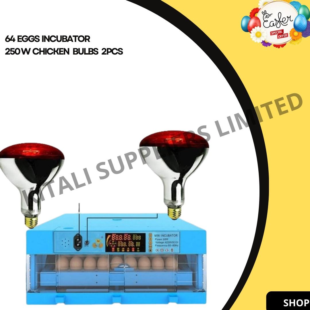 64eggs incubator with chicken bulb