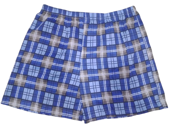 6 PCS MEN'S BOXER SHORTS-CHECKED (Stretchy and comfortable).