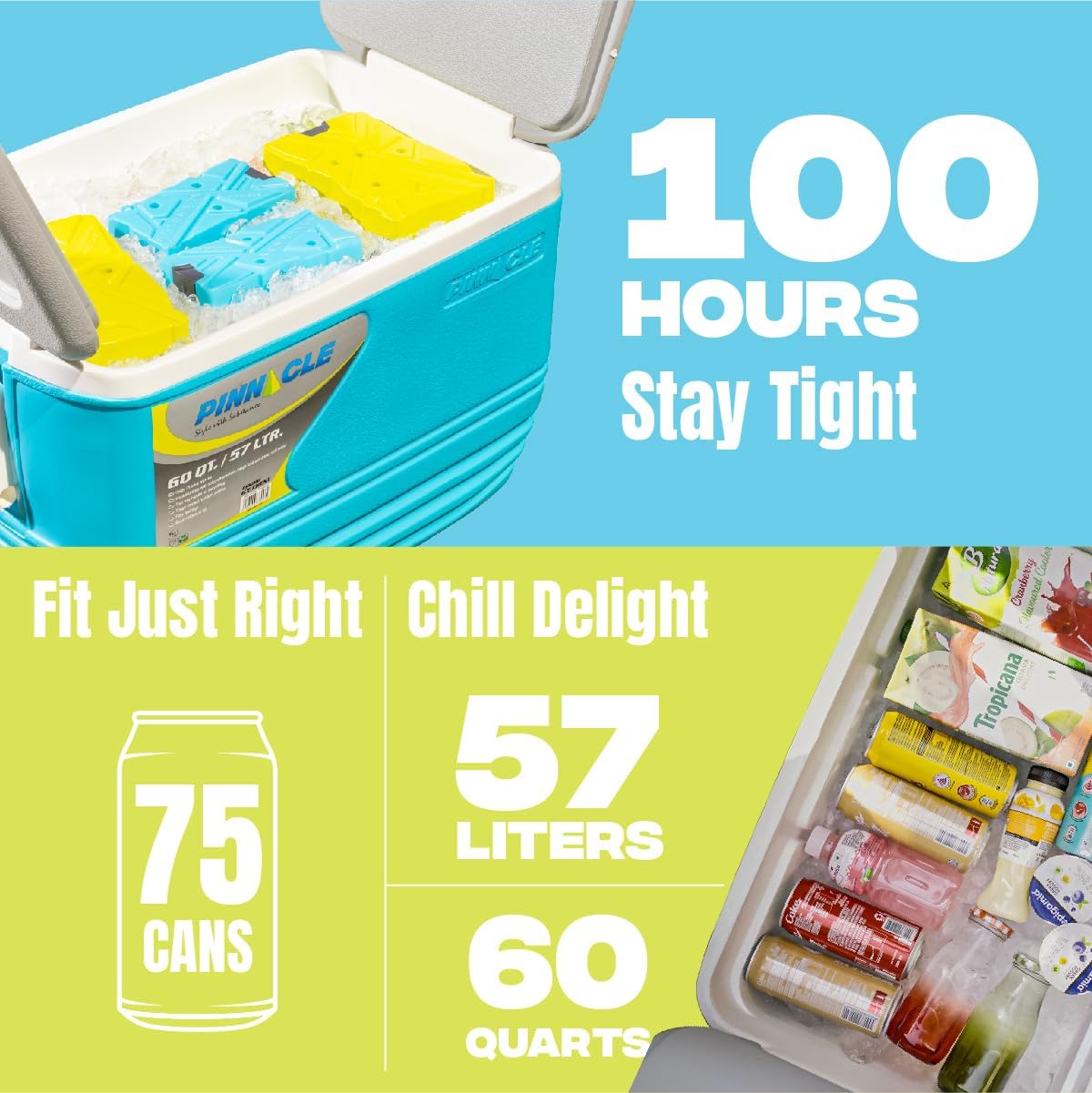 Pinnacle 57L ice cooler box Foam Hard Cooler Box / Chiller 57 Litre  Portable Pinnacle ice cooler box