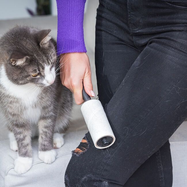 60 sheets Lint Roller Pet Hair/fabric/clothes Remover Sticky Brush