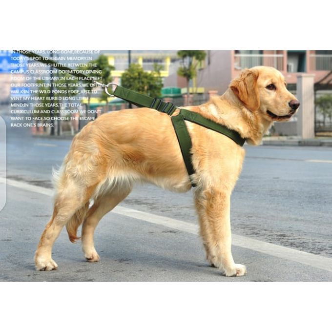 Pet High Quality Nylon Dog Harness And Leash Double Layer