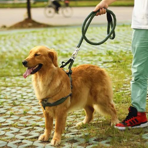 Pet High Quality Nylon Dog Harness And Leash Double Layer