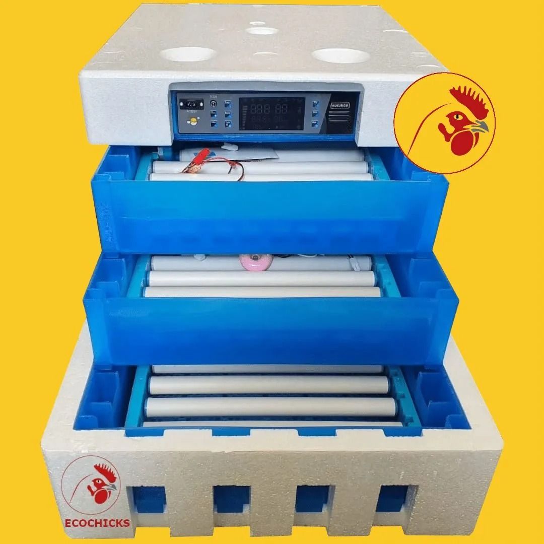 300 Egg Automatic Incubator – Digital Temperature & Humidity Control with Auto Turning for Poultry Hatching