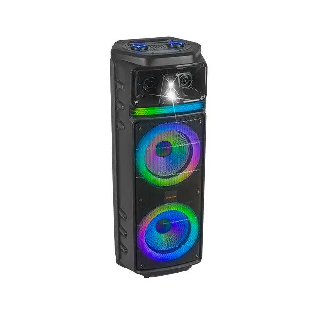KOLAV-M2102 Double 10 Inch KOLAV Outdoor Party High Quality Sound Rechargeable Pa Speaker