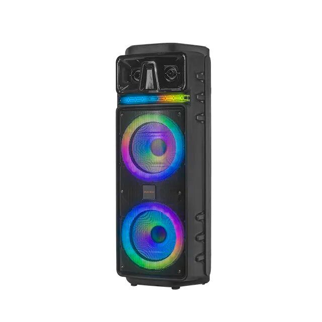 KOLAV-M2102 Double 10 Inch KOLAV Outdoor Party High Quality Sound Rechargeable Pa Speaker