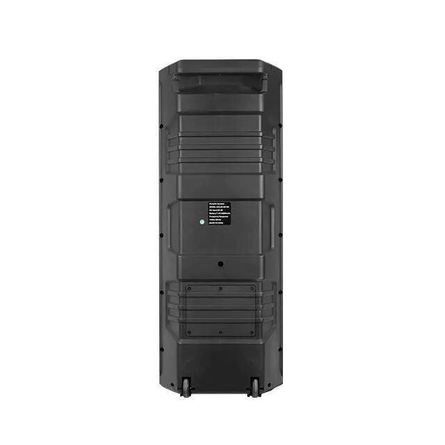 KOLAV-M2102 Double 10 Inch KOLAV Outdoor Party High Quality Sound Rechargeable Pa Speaker
