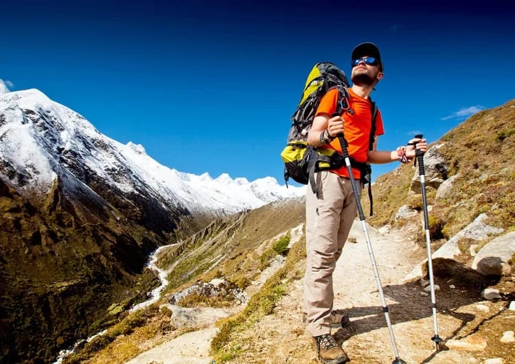 Anti shock Trekking Pole ultralight walking Sticks Adjustable Hiking Canes Telescope Crutch for Nordic Walking stiks.