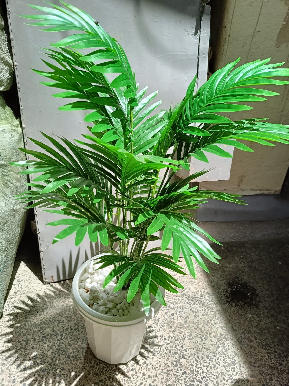 Artificial Palm Flower with Decor stones and Vase | add a luxurious touch to your interior setting and the same time, it is a zero maintenance.
