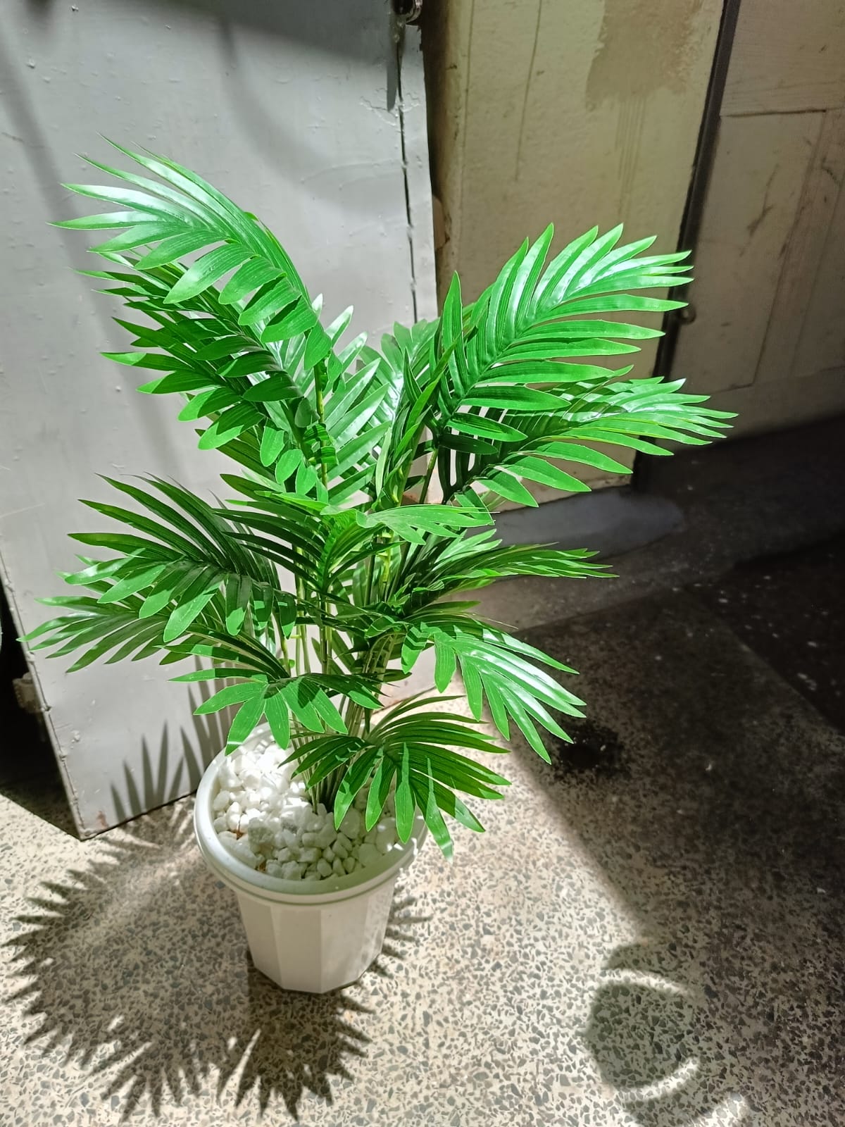 Artificial Palm Flower with Decor stones and Vase | add a luxurious touch to your interior setting and the same time, it is a zero maintenance.