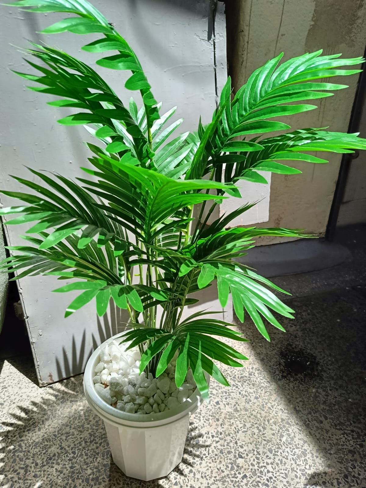 Artificial Palm Flower with Decor stones and Vase | add a luxurious touch to your interior setting and the same time, it is a zero maintenance.