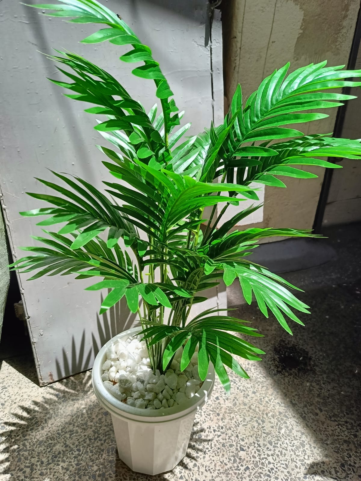 Artificial Palm Flower with Decor stones and Vase | add a luxurious touch to your interior setting and the same time, it is a zero maintenance.