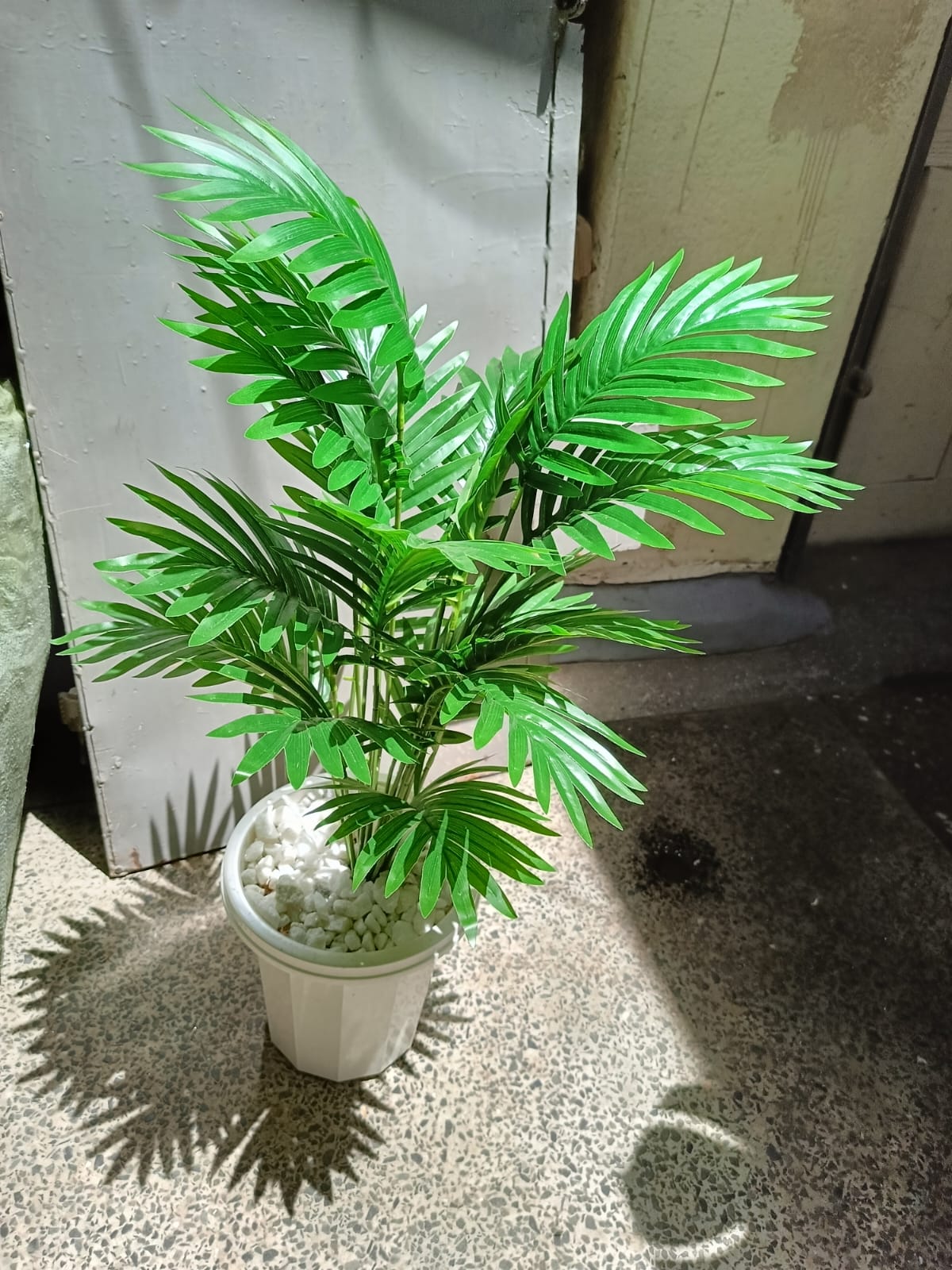 Artificial Palm Flower with Decor stones and Vase | add a luxurious touch to your interior setting and the same time, it is a zero maintenance.
