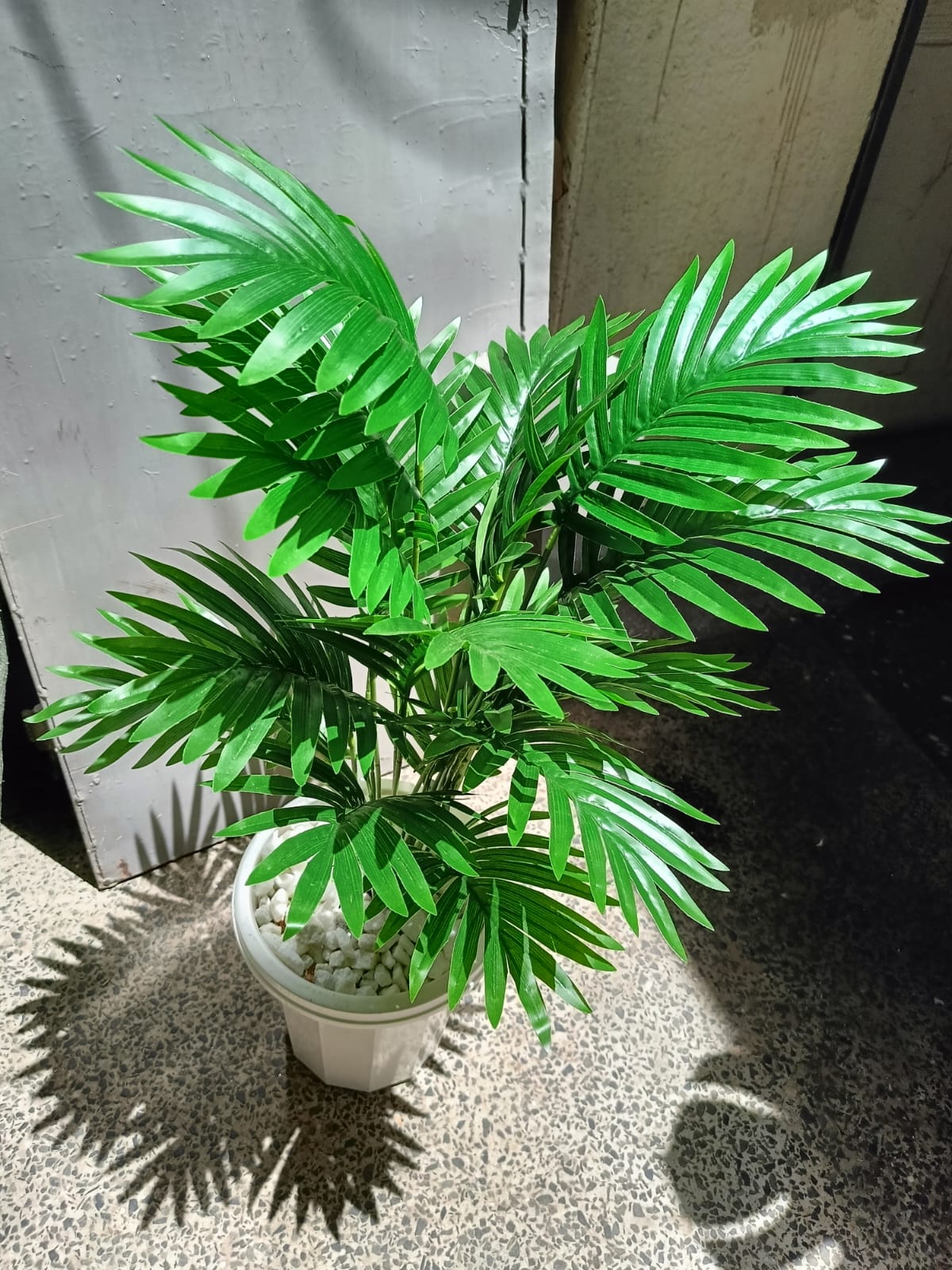 Artificial Palm Flower with Decor stones and Vase | add a luxurious touch to your interior setting and the same time, it is a zero maintenance.