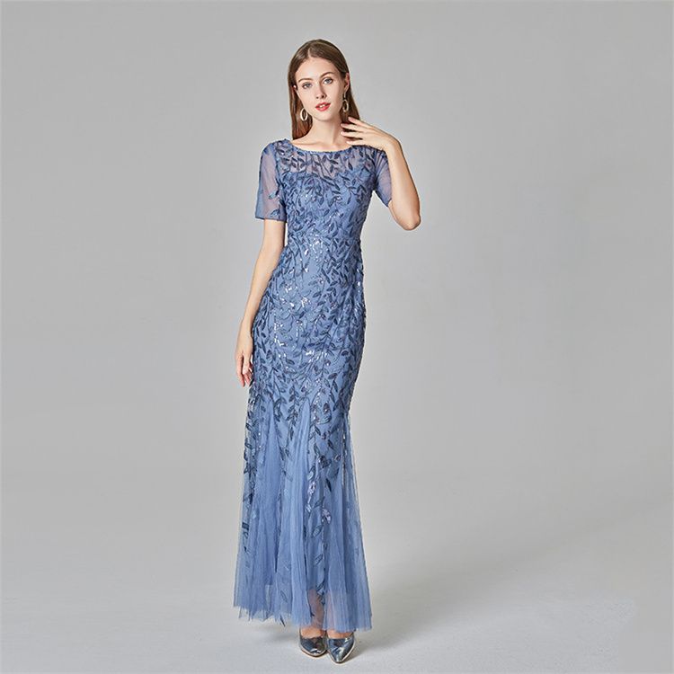 Women Evening Dresses Sexy Long Sleeves Host Full Dress Lady Concert Dress Women Party Dress