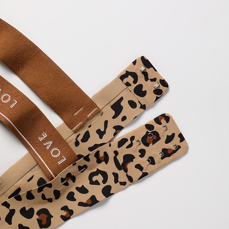 Lingerie Panty set Sexy Letter straps Comfortable Ice Silk seamless leopard print Seductive bra for women