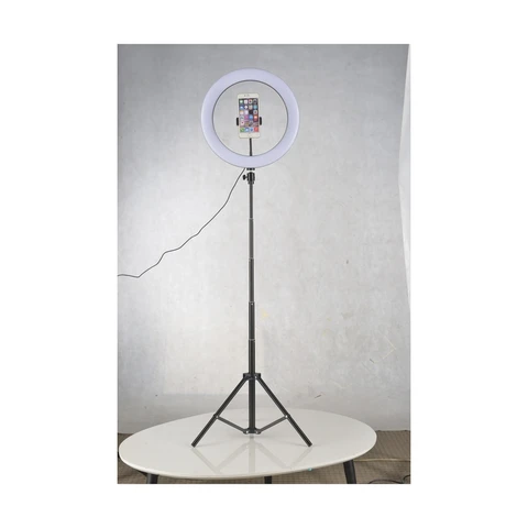 10 Inch Ring Light With 2.1m (210CM) Tripod Stand for vlogging, photography, make up application, TikTok, podcast YouTubers