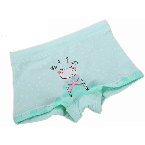 Girls' Boyshort Assorted Print Underwear Kids Panties Comfort Boxer Briefs Hot Pants Pack Of 6