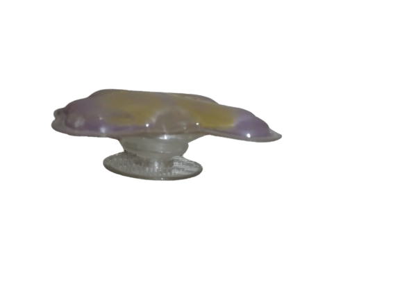 Mobile phone Pop socket phone case holder