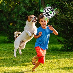 Dog Toys Soccer Ball with Straps, 15cm World Cup Interactive Dogs Toys for Tug of War, Yard Game, Water Toy, Herding Ball for Dogs Small & Medium, Puppy Birthday Gifts Outdoor Jolly Ball Boredom Buste