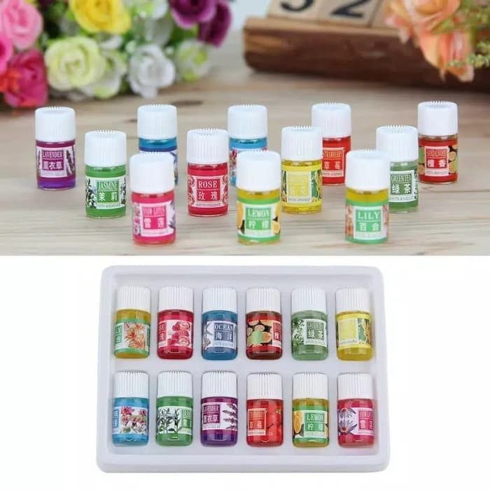 12 Pack Aromatherapy Diffuser / Humidifier Essential Oil for Indoors