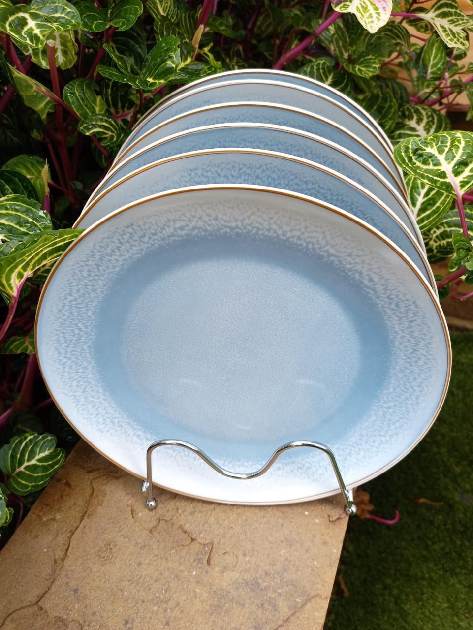 Set of 6 Ceramic Plates;
perfect dinner plate with a premium quality for your daily kitchen needs that will help you serve the perfect meal.