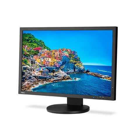NEC 24-INCH WIDE LCD MONITOR