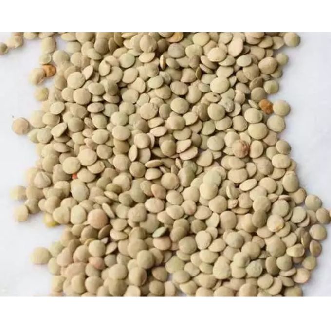 Kamande Or Masoor Or  Lentils 1 or 3kg