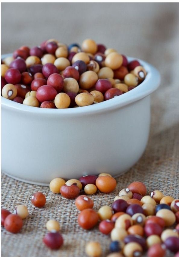 Njugu mawe or  Bambara nuts coloured, 2 to 5kg