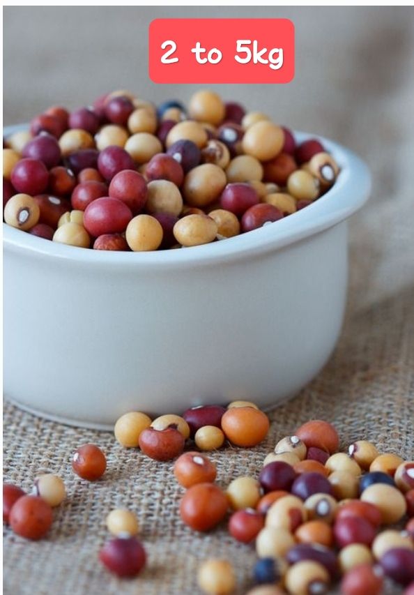 Njugu mawe or  Bambara nuts coloured, 2 to 5kg