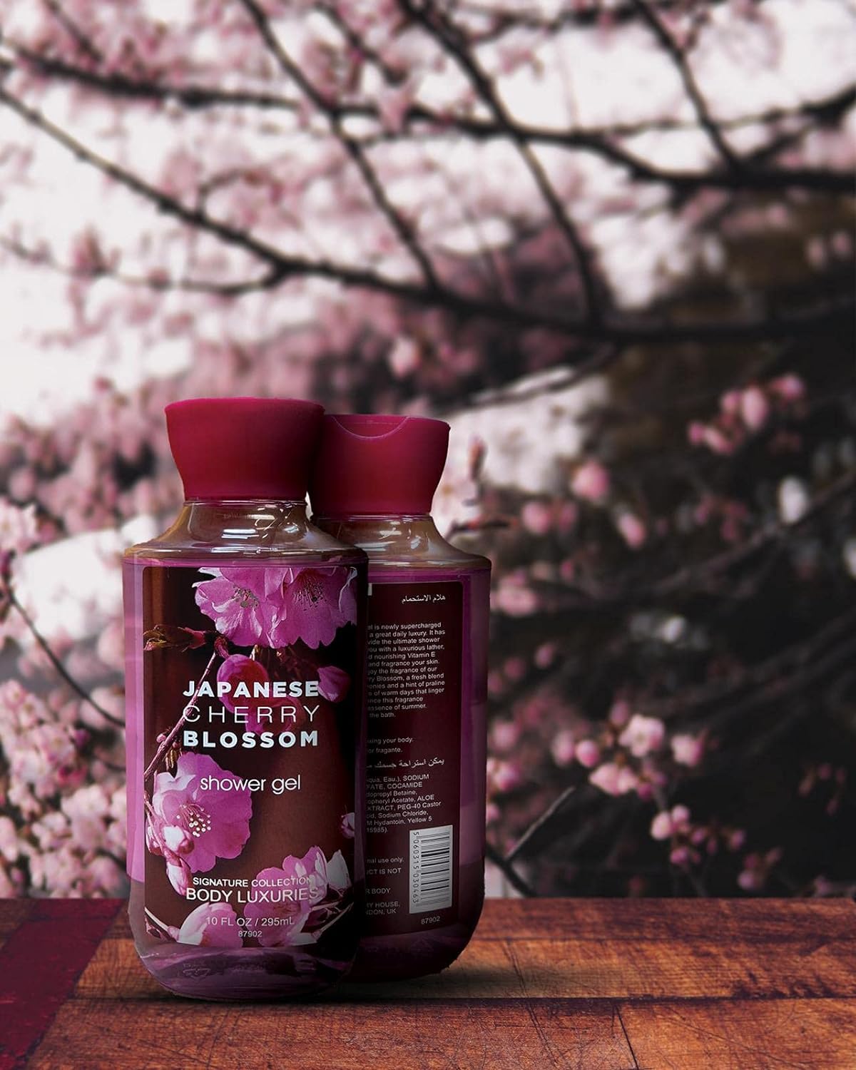 2 Pack Dear Body Japanese Cherry Blossom Shower Gel(10 FL OZ / 295ML) Moistuizing Vitamin E Aloe Vera Scented Body Luxuries Signature Colection Keep Fresh Shower Gel