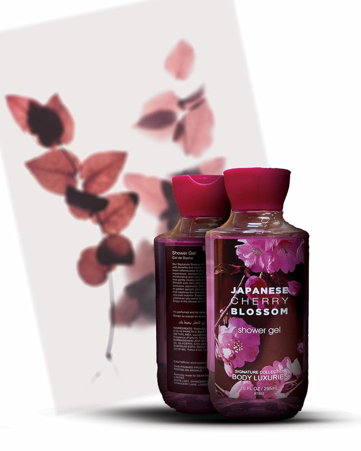 2 Pack Dear Body Japanese Cherry Blossom Shower Gel(10 FL OZ / 295ML) Moistuizing Vitamin E Aloe Vera Scented Body Luxuries Signature Colection Keep Fresh Shower Gel