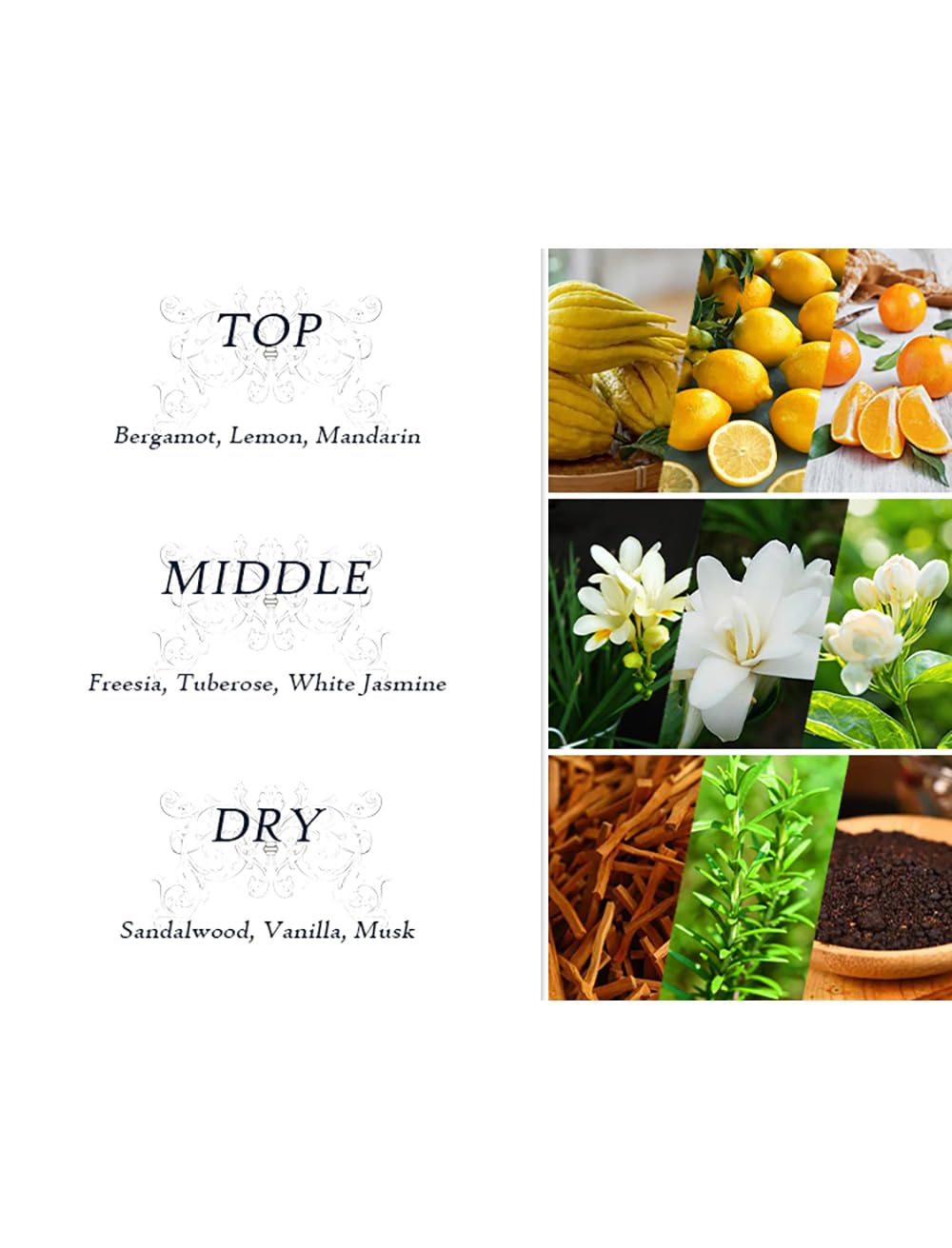 Dear Body Fly Away Body Scrub Macca Seed Butter Extract, Aloe Vera and Vitamin E  Combined with Coconut Extract Scrubs and Body Treatments Dear Body Fly Away  Body Luxuries Signature Collection