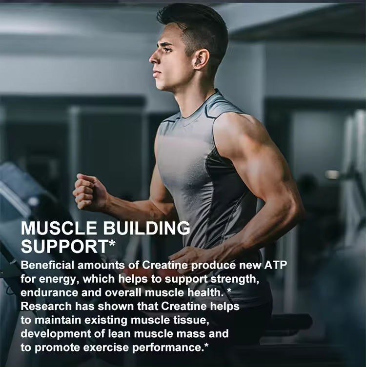 Weight Gain Supplement Creatine Monohydrate Gummies Gain Weight Pill for Muscle Strength and Energy Boost