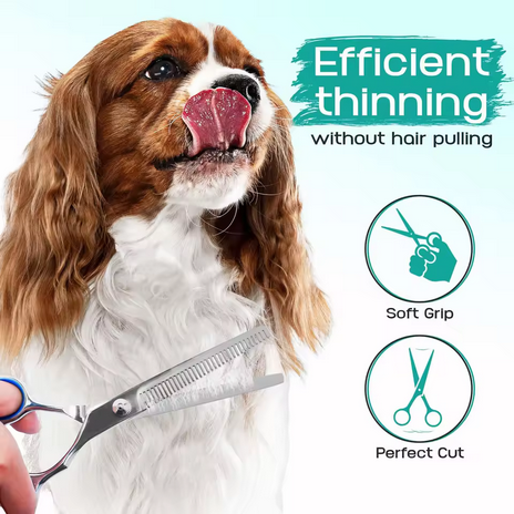 4 in 1 Professional Dogs Grooming Scissors Set Stainless Steel Dog and Cat Hair Thinning Shears with Safety Round Tip for Pet