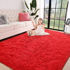Super Soft Rugs Fluffy Carpets, 5x8 Feet, Indoor Modern Plush Area Rugs for Living Room Bedroom Kids Room Nursery Home Decor