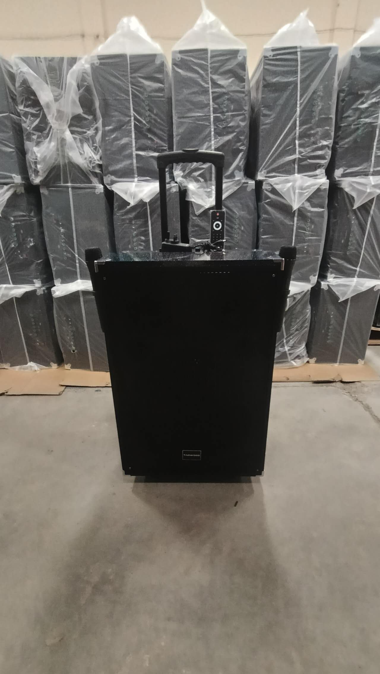 NEW TAGWOOD LTS-15A OUTDOOR  RECHARGEBLE TROLLEY SPEAKER WITH TWO FREE MICROPHONES AND A FULLY FUNCTIONAL REMOTE CONTROL