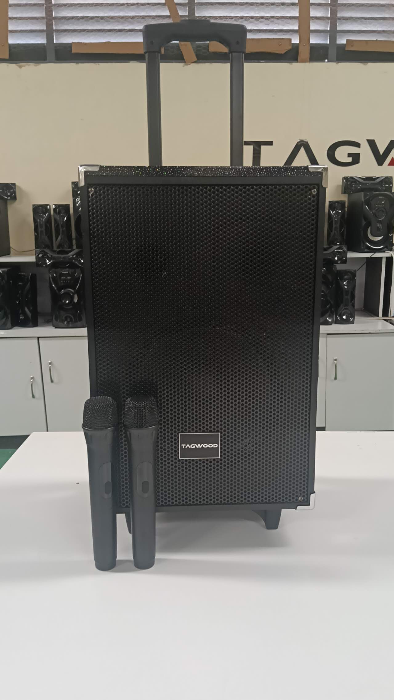 TAGWOOD LTS-10A 9800W PMPO  OUTDOOR RECHARGEABLE  TROLLEY SPEAKER WITH TWO FREE WIRELESS MICROPHONE, AND A FULLY FUNCTIONAL REMOTE CONTROL , USB,FM RADIO