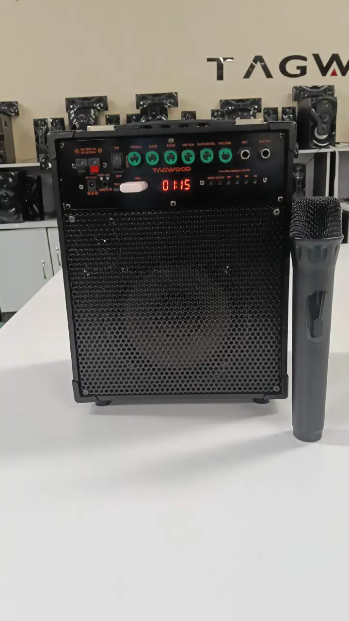 NEW TAGWOOD 6A RECHARGEABE AND PORTABLE OUTDOOR SPEAKER WITH FM BLUETOOTH FM RADIO AND WITH ONE FREE WIRELESS MICROPHONE