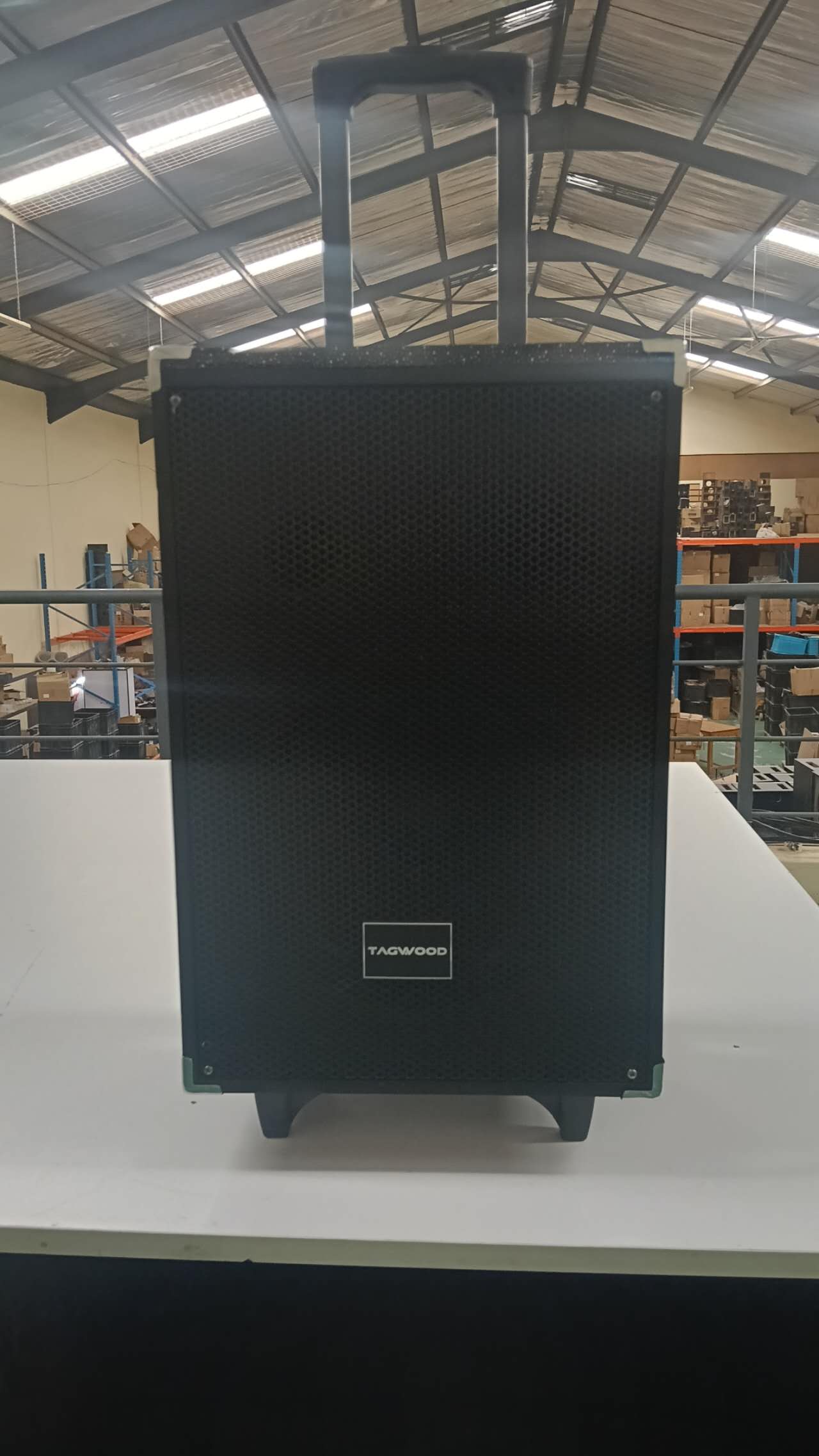 TAGWOOD LTS-10A 9800W PMPO  OUTDOOR RECHARGEABLE  TROLLEY SPEAKER WITH TWO FREE WIRELESS MICROPHONE, AND A FULLY FUNCTIONAL REMOTE CONTROL , USB,FM RADIO