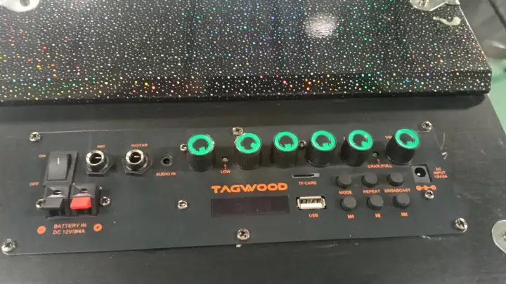 TAGWOOD LTS-10A 9800W PMPO  OUTDOOR RECHARGEABLE  TROLLEY SPEAKER WITH TWO FREE WIRELESS MICROPHONE, AND A FULLY FUNCTIONAL REMOTE CONTROL , USB,FM RADIO
