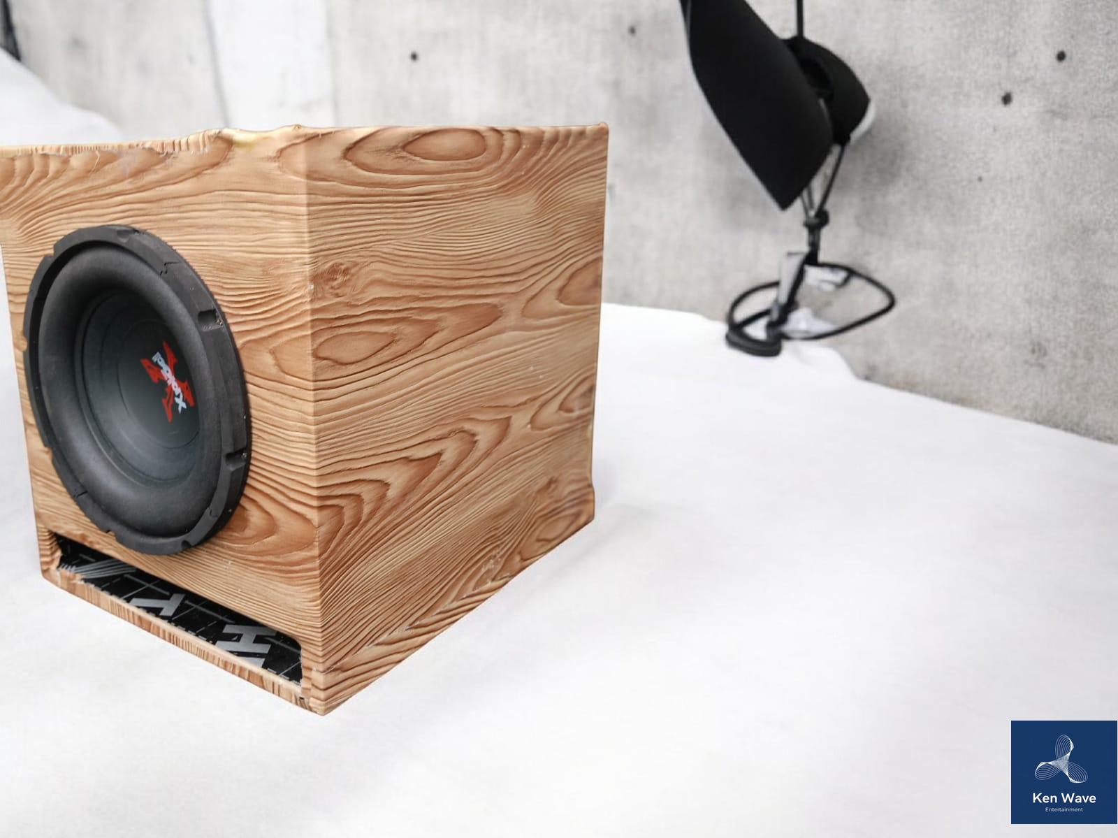 Sony Xplod 10 Inch powerful Subwoofer, 100w RMS 200W max Bass speaker woofer home audio system, tuned cabinet car audio home theater