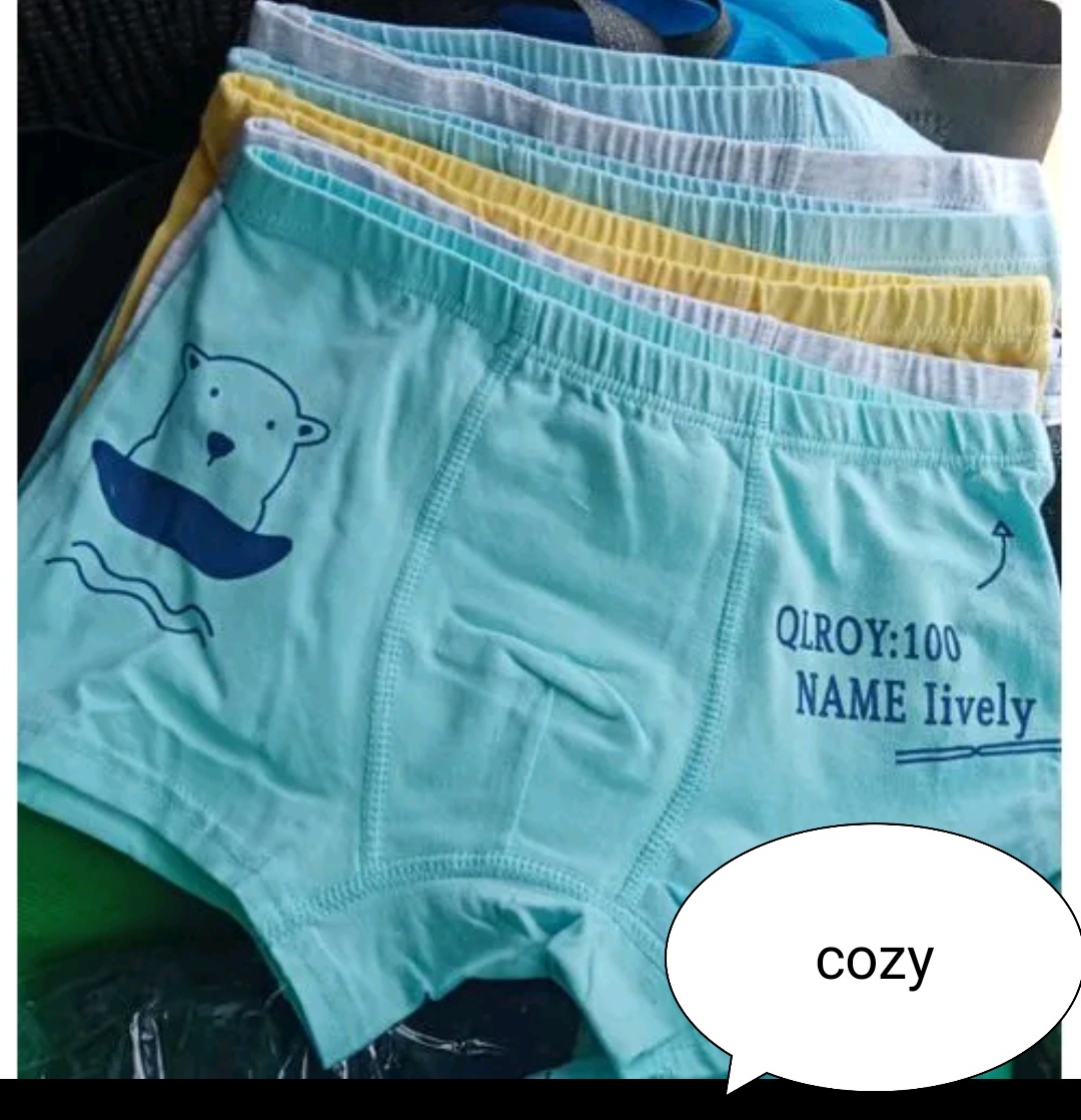 Fashion 6PCs Kids Long Lasting Brief Cotton Boys Boxers