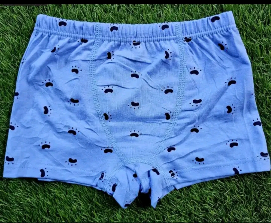 Fashion 6PCs Kids Long Lasting Brief Cotton Boys Boxers