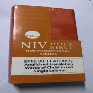 NIV Pocket Bible