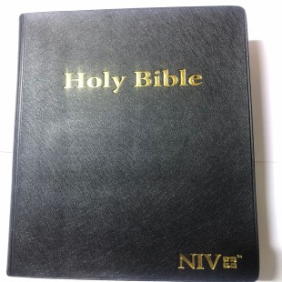 NIV Giant print Bible