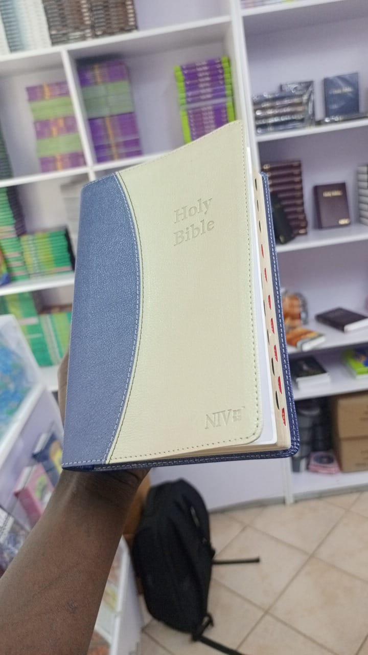 NIV BIBLE