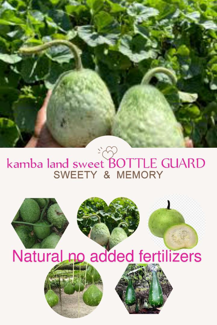 Mixed Fresh Pigeon Peas,Cow Peas and some Beans + additional 1-5 bottle guard as a tip🤍 from kamba land kitui mwingi 💯%Natural NO ADDED FERTILIZERS