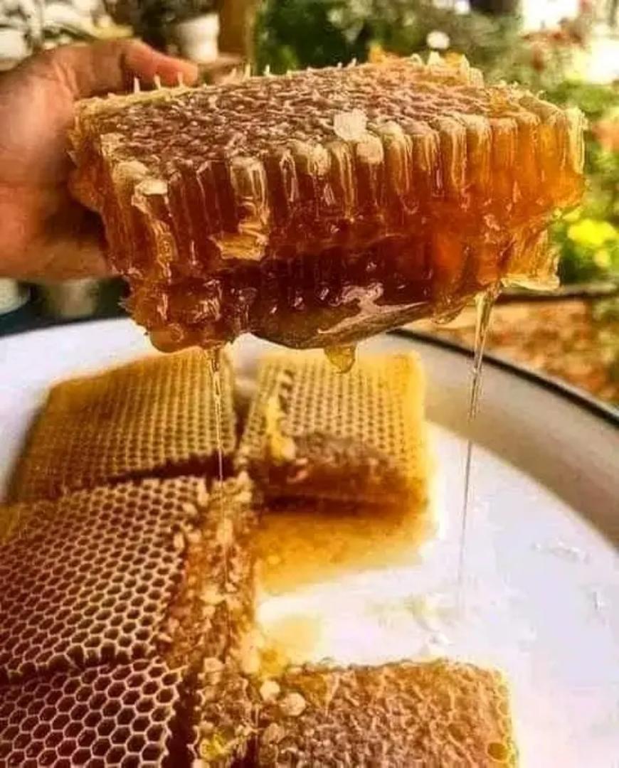 HONEY WITH HONEY COMBS