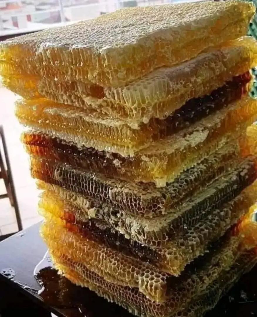 HONEY WITH HONEY COMBS